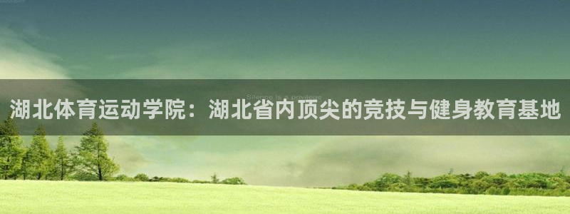 一竞技官方正版app代理：湖北体育运动学院：湖北省内顶尖的竞