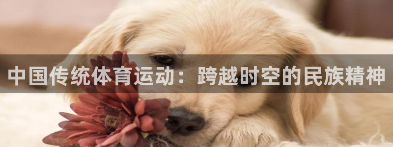 一竞技官方正版app娱乐首页官网下载：中国传统体育运