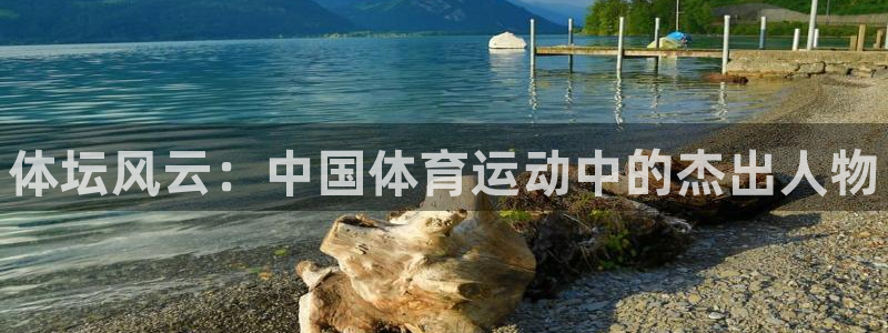 一竞技官网下载：体坛风云：中国体育运动中的杰出人物