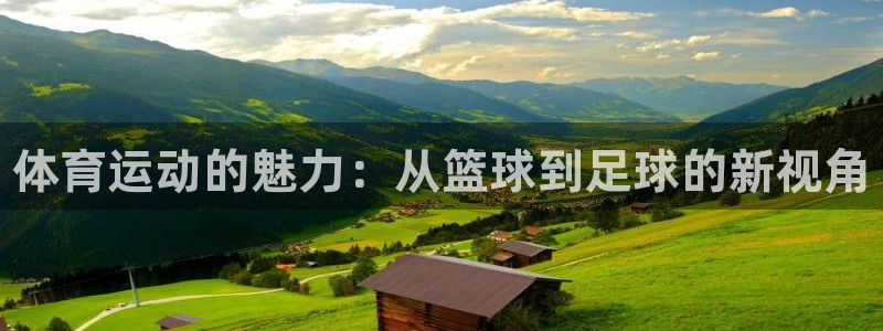 一竞技官方正版app娱乐平台：体育运动的魅力：从篮球