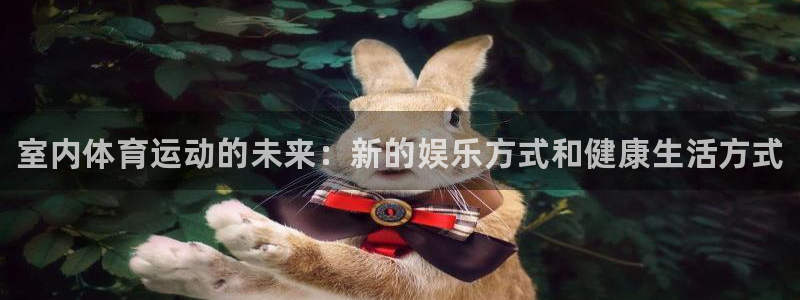 一竞技官方正版app集团官网首页：室内体育运动的未来：新的娱