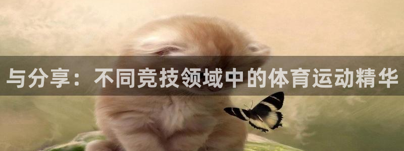 注册一竞技官方正版app：与分享：不同竞技领域中的体