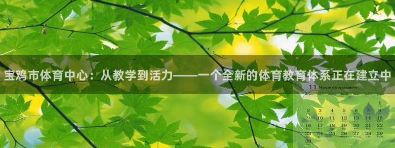 一竞技官方正版app新能源：宝鸡市体育中心：从教学到活力——