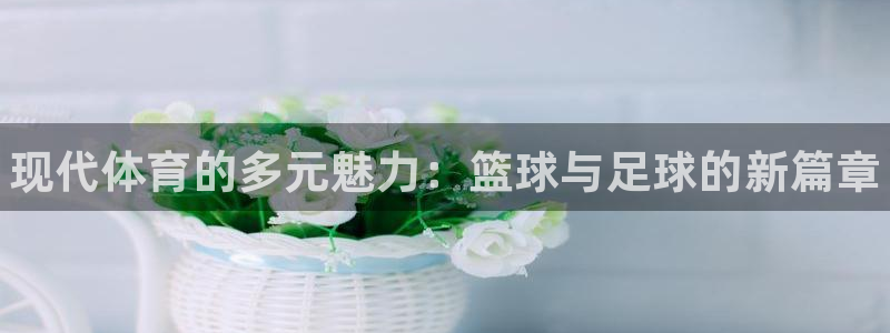 一竞技官网下载是干嘛的公司：现代体育的多元魅力：篮球与足球的