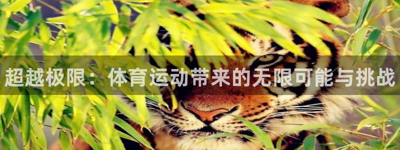 一竞技官方正版app集团E.ON：超越极限：体育运动带来的无