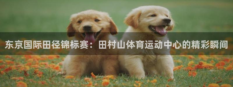 一竞技官网下载平台注册要钱吗：东京国际田径锦标赛：田