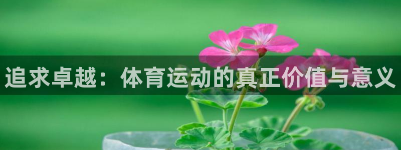 一竞技官方正版app集团官网首页网址：追求卓越：体育