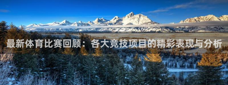 一竞技官方正版app神州：最新体育比赛回顾：各大竞技