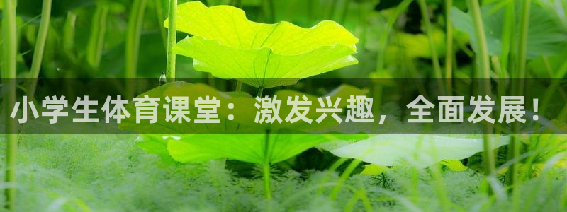 一竞技官网下载是干嘛的公司：小学生体育课堂：激发兴趣