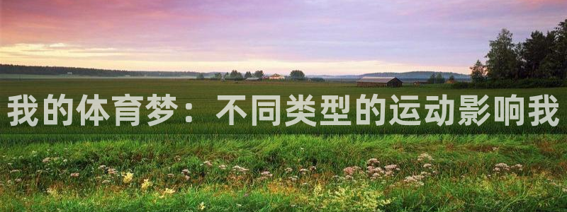 一竞技官方正版app新能源：我的体育梦：不同类型的运