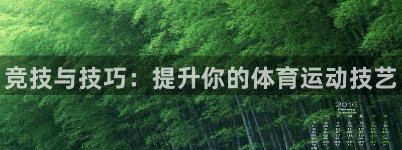 一竞技官方正版app代理：竞技与技巧：提升你的体育运