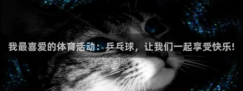 一竞技官方正版app集团官网首页：我最喜爱的体育活动