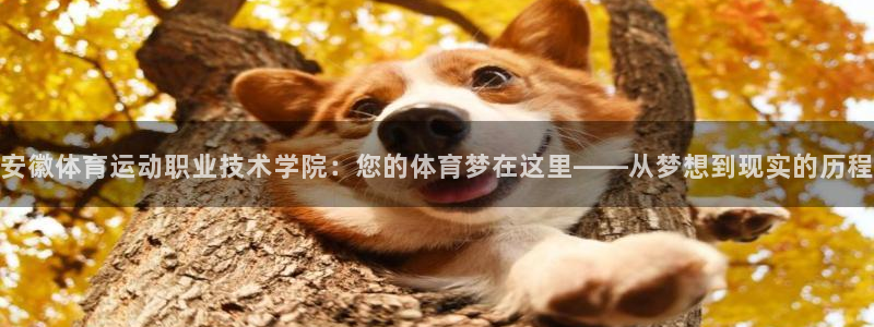一竞技官网下载招商电话号码是多少啊：安徽体育运动职业