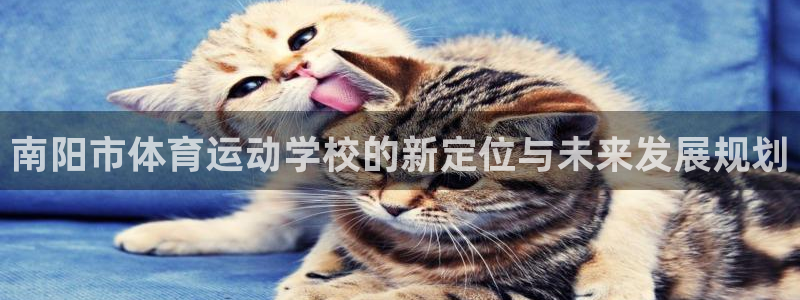 一竞技官网下载平台注册流程视频：南阳市体育运动学校的