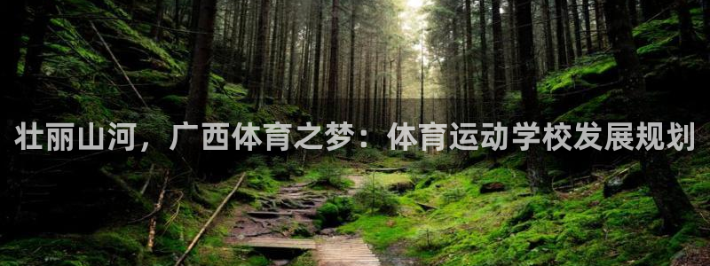 一竞技官网下载平台注册：壮丽山河，广西体育之梦：体育