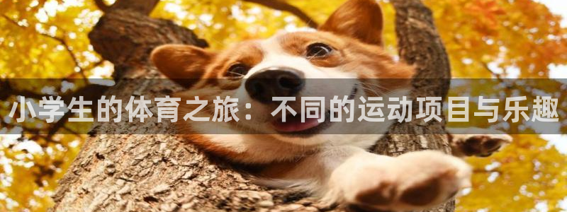 海南一竞技官网下载：小学生的体育之旅：不同的运动项目