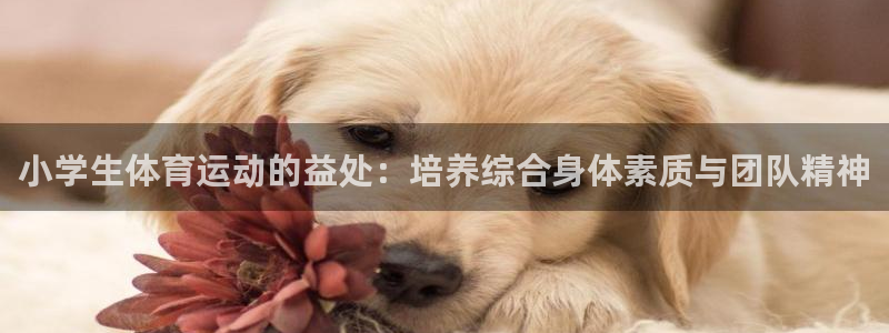 一竞技官方正版app集团E.ON：小学生体育运动的益