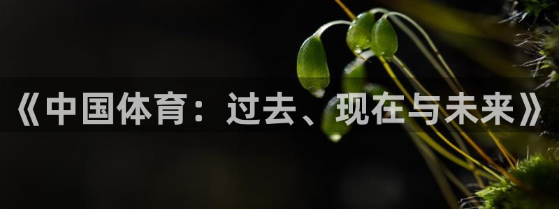 一竞技官方正版app集团E.ON：《中国体育：过去、现在与未