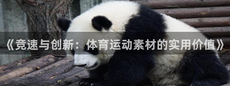 海南一竞技官网下载发展怎么样：《竞速与创新：体育运动素材的实