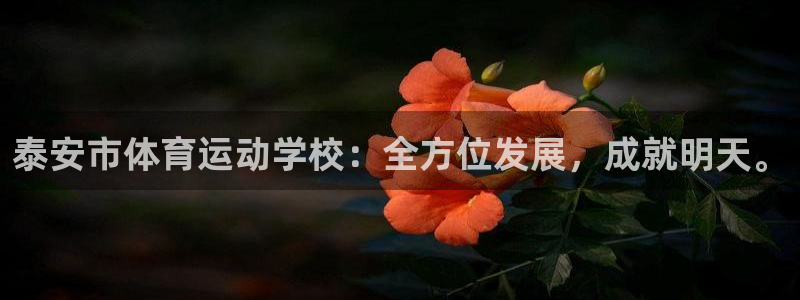 一竞技官网下载招商电话是多少：泰安市体育运动学校：全