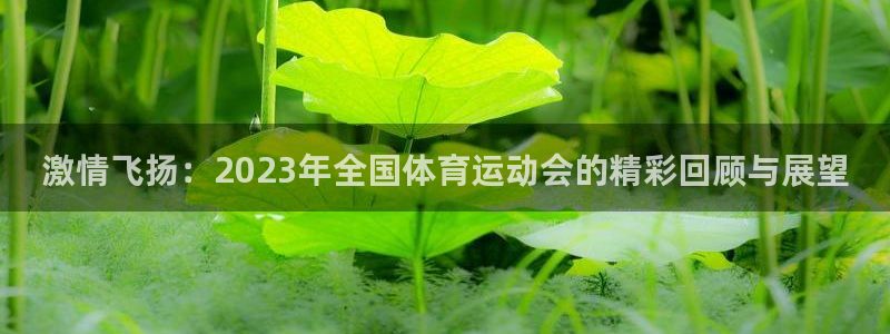 一竞技官方正版app代理：激情飞扬：2023年全国体