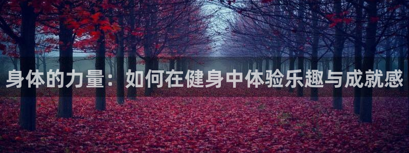 一竞技官网下载平台是正规平台吗安全吗：身体的力量：如