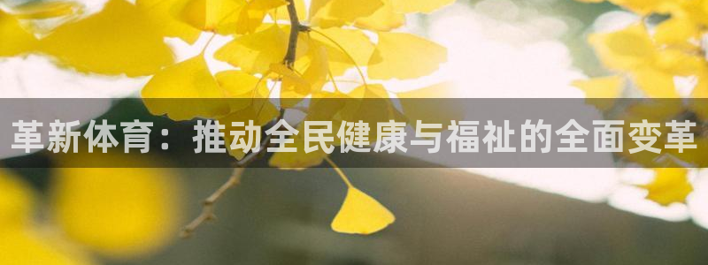 一竞技官方正版app娱乐40996：革新体育：推动全民健康与