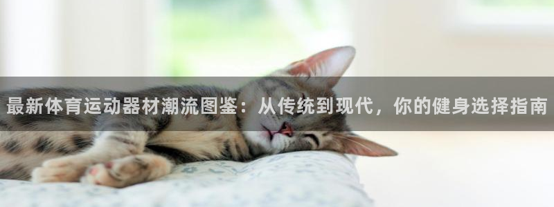  一竞技官网：最新体育运动器材潮流图鉴：从传统到现代，你的健身