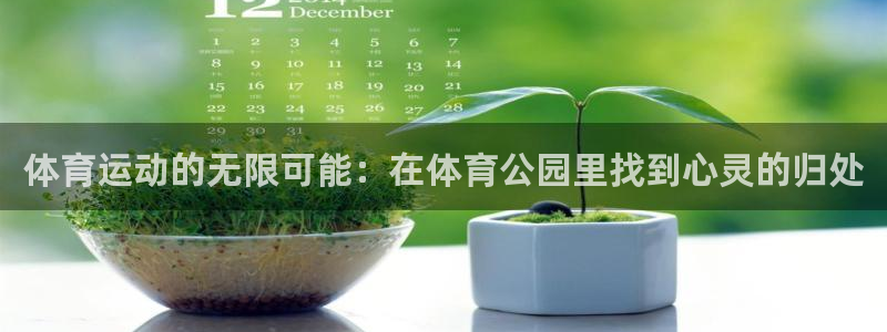 一竞技one卡安不安全：体育运动的无限可能：在体育公园里找到