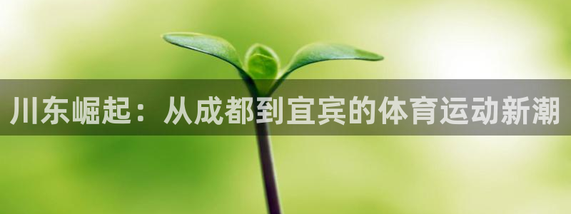 一竞技平台可靠吗