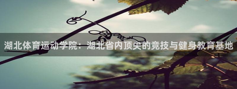 一竞技官网 - 从一开始 竞无止境：湖北体育运动学院：湖北省