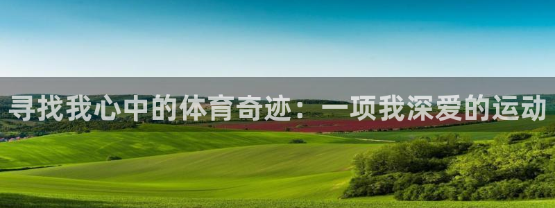  一竞技测速：寻找我心中的体育奇迹：一项我深爱的运动