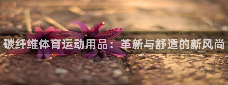 一竞技测速站：碳纤维体育运动用品：革