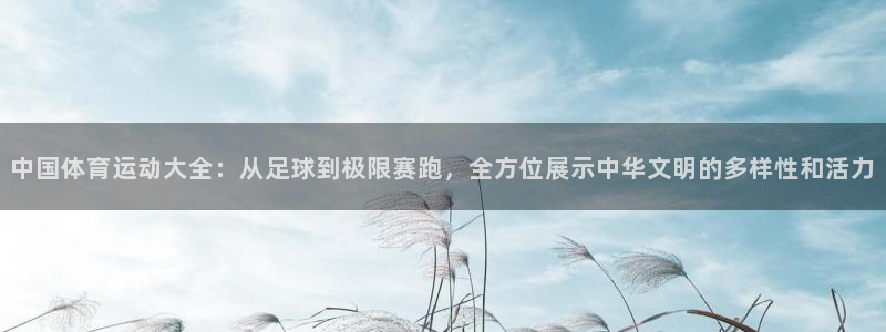 一竞技体育官网：中国体育运动大全：从足球到极限赛跑，全方位展