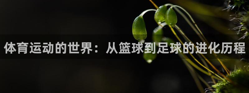  一竞技官网下载：体育运动的世界：从篮球到足球的进化历程