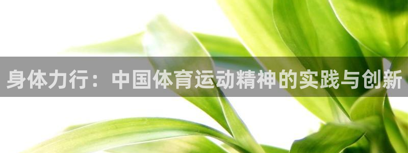 一竞技平台：身体力行：中国体育运动精神的实践与创新
