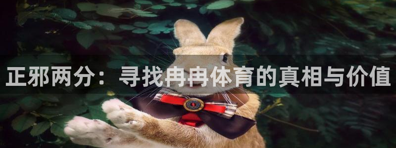 一竞技官网测速入口登录：正邪两分：寻