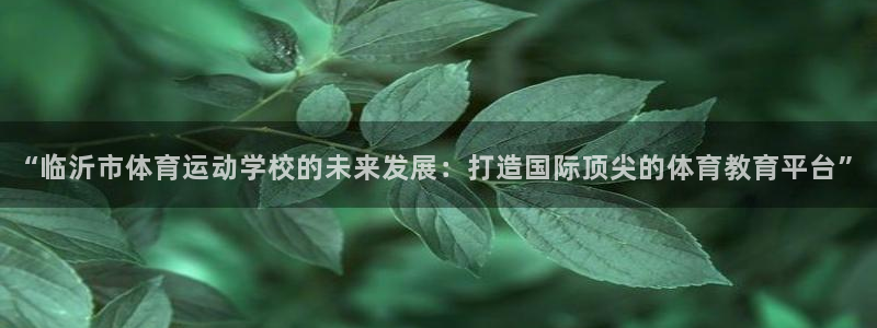 一竞技dota2：“临沂市体育运动学校的未来发展：打造国际顶