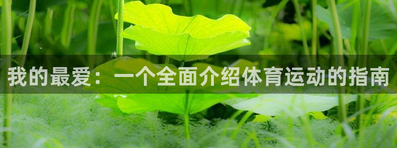 一竞技app官方入口：我的最爱：一个
