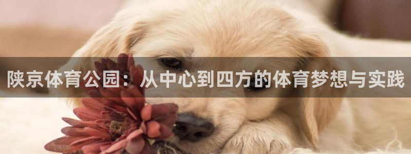 一竞技官网测速：陕京体育公园：从中心