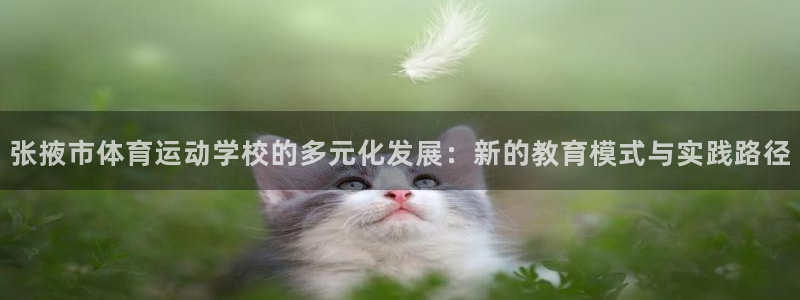 一竞技app下载：张掖市体育运动学校的多元化发展：新的教育模