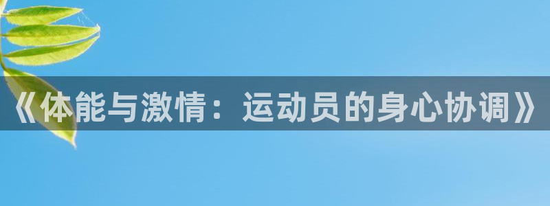 一竞技测速站