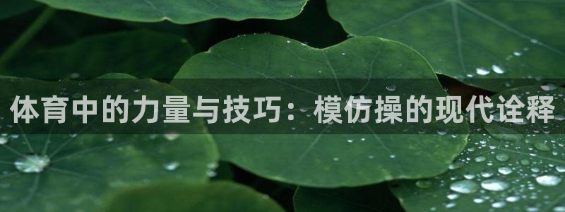 一竞技官网测速入口登录：体育中的力量